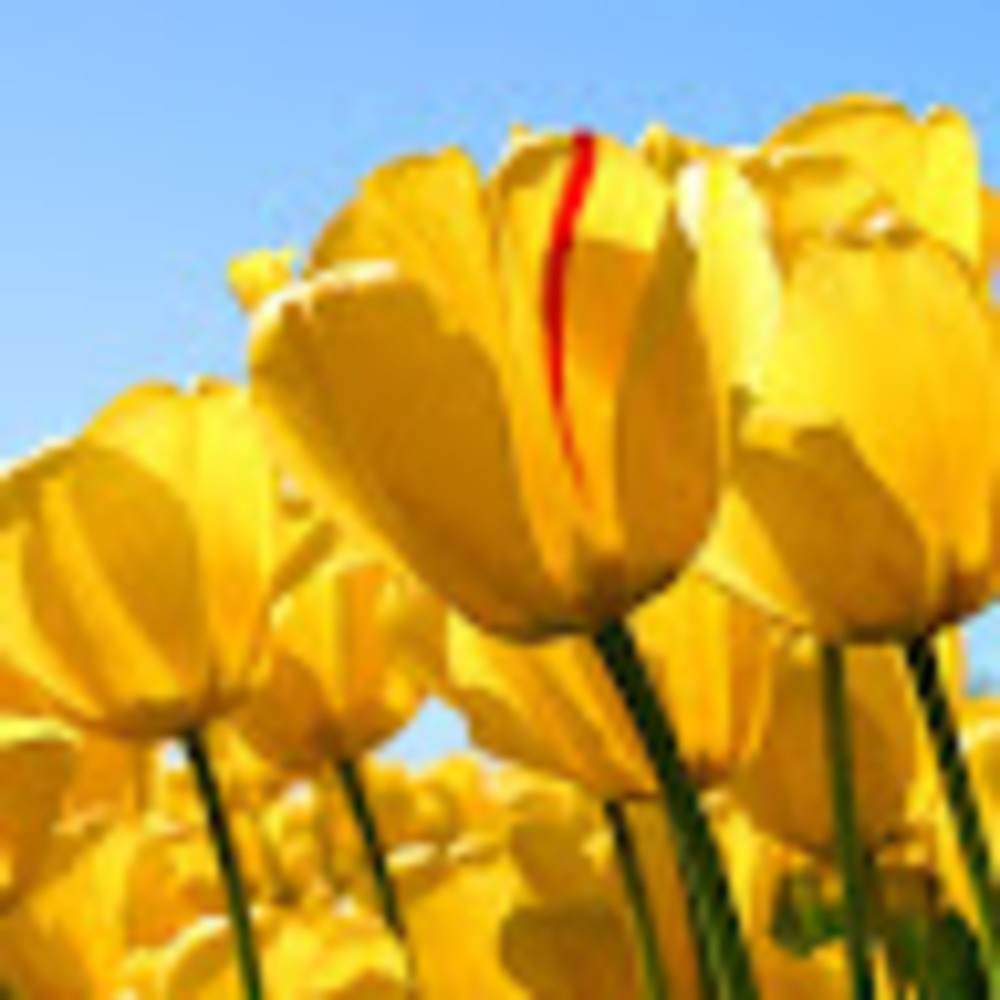 Meet your Posher, Karissa